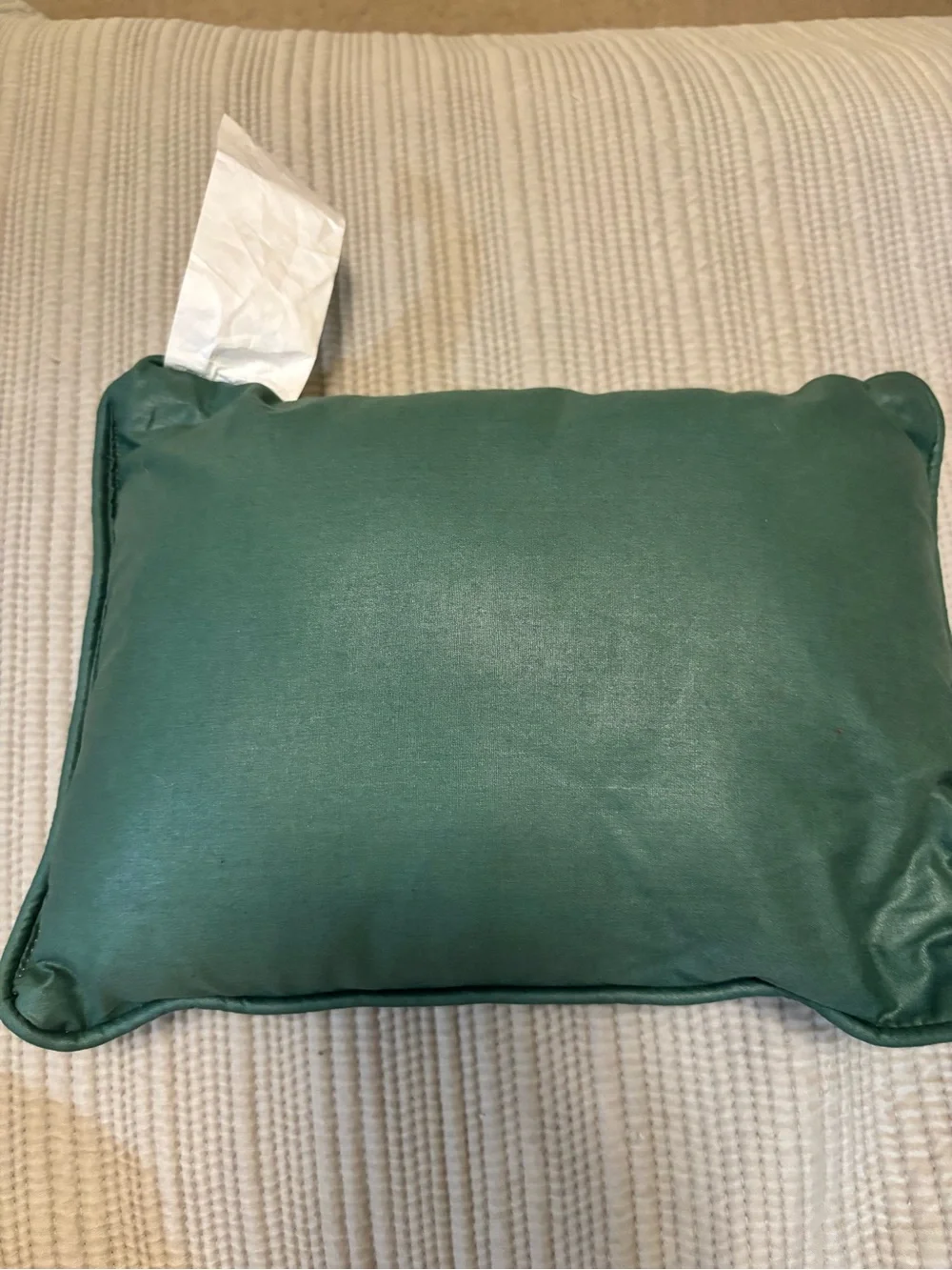 Vintage Tapestry Needlepoint Decorative Pillow